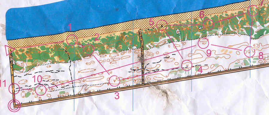 TAG 4 Ischitella