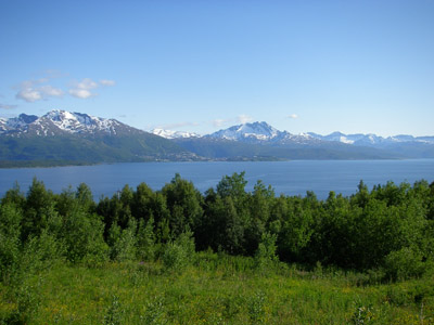 Narvik