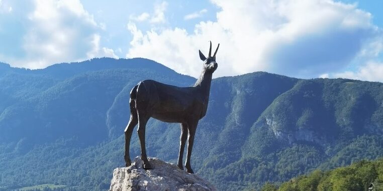 IMG-20230812-WA0002 klein v2