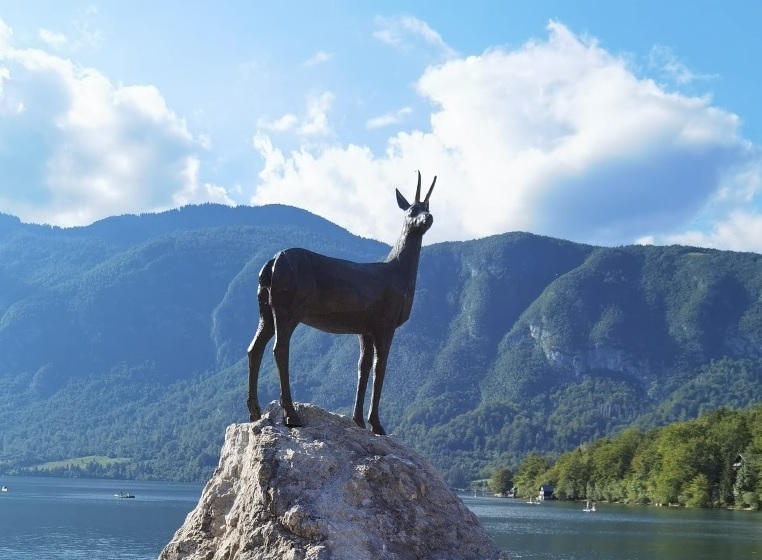 Ned bled: O-Trainingstag in Bled (SLO) am 12.08.2023